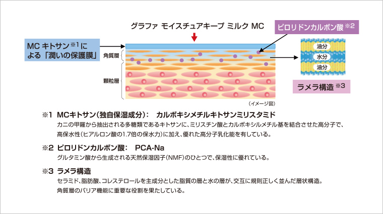 グラファ / モイスチュアキープ ミルク MC(乳液) 130g  ２本